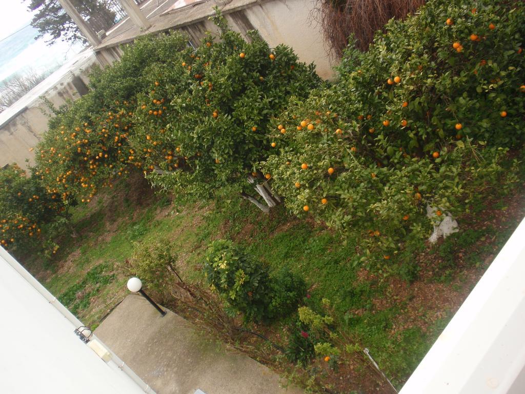 Apartment Antouan Matina *