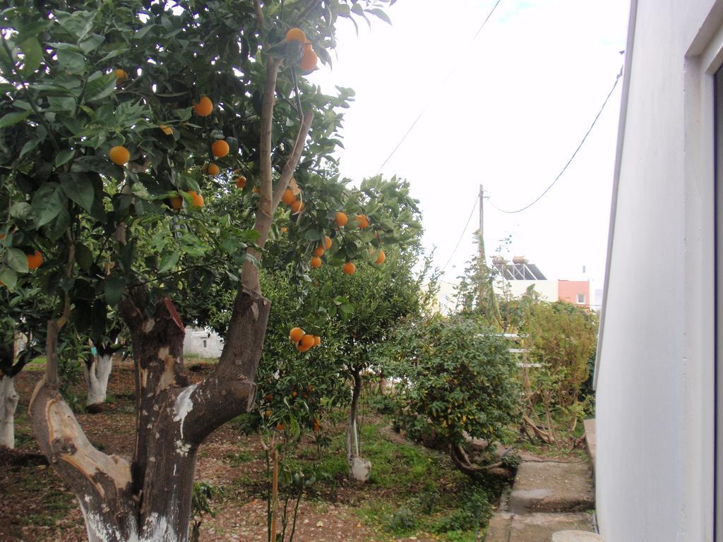 Antouan Matina Apartment Archangelos (Rhodes)
