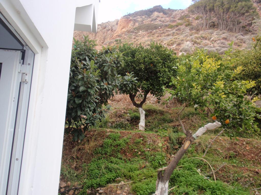 Antouan Matina