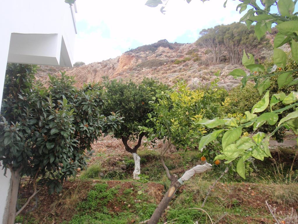 Apartment Antouan Matina Archangelos (Rhodes)