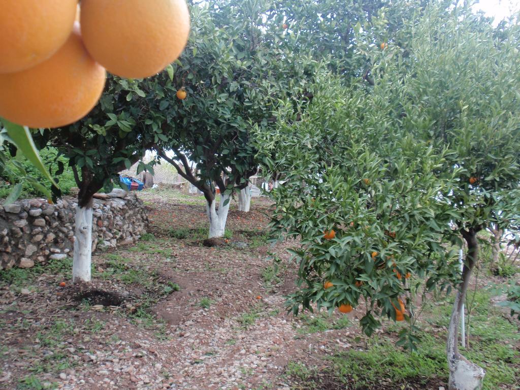 Antouan Matina Archangelos (Rhodes)