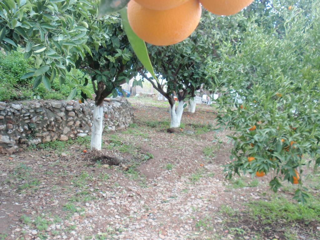 Antouan Matina Apartment