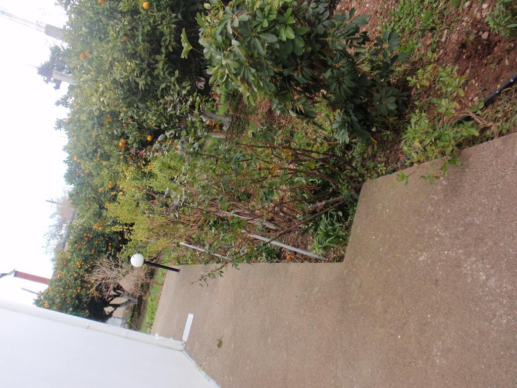 Apartment Antouan Matina *