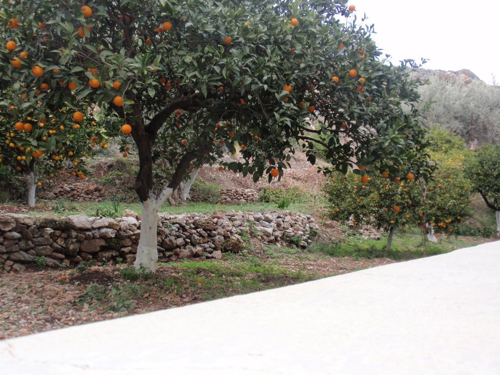 Antouan Matina Apartment